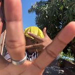 Gaetan Wendy Jacques - @gaeng3jm - Instagram
