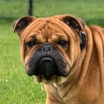 Wendy Joyner - @wenjoyn - Instagram