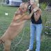 Wendy Wolfe Kennett - Facebook