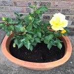 Wendy Kenny - @wendy.kenny.73 - Instagram