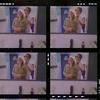 Wendy Killian martin - @wendykillian1206 - TikTok