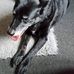 Wendy Knowles - Facebook