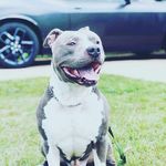 Wendy Knowles - @wendy112199 - Instagram