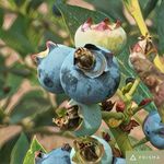 Wendy Ladd - @prismatize - Instagram