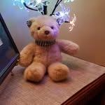 Wendy Lake - @wendy.lake477 - Instagram