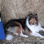 Wendy Lantz - @lantzw6092020 - Instagram