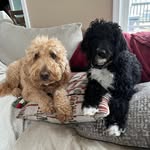 Wendy Lantz Campagna - @sunandsand4ever - Instagram