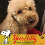 Wendy Lantz Spector - @wendyspector - Instagram
