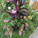 Wendy Varner LaPointe - @scwendy - Instagram
