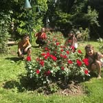 Wendy Coffigny Laurent - @coffignylaurent - Instagram