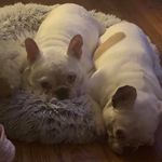 Wendy Waggener Lavender - @breeee1 - Instagram