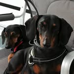 Lilly&Wendy - @wendyelilly.forever - Instagram