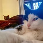 Wendy and Lilly - @toesandbeans - Instagram