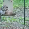 wendylilly71 - @wendylilly71 - TikTok