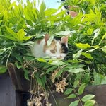 Wendy Ling - @wendyling998 - Instagram
