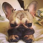 Wendy·LING - @wendy_ling._ - Instagram