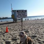 wendy lockett - @lockettwendy - Instagram