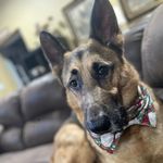 Wendy Lockett - @wlockett1212 - Instagram