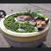 Wendy Lockett - Facebook