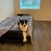Wendy Lowman - Facebook