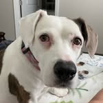 @wendy.luff.982 - Instagram