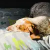 wendymalchowedwar - @doxielover4ever0 - TikTok