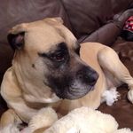 Wendy Czarnecki-Malcolm - @czarneckimalcolm - Instagram