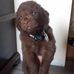 Wendy Malcolm - Facebook