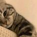 Wendy Malory - Facebook