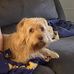 Wendy Malott - Facebook