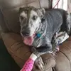Wendy Maples635 - @wendymaples - TikTok