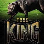 Wendy/Marcus - @queen_n_king_bullys - Instagram