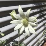 Wendy Maree - @maree_wendy - Instagram