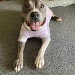 Wendy Maree Blinco - @blincowendy - Instagram