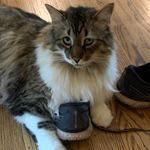 Wendy Margolis - @bigkittysimon - Instagram