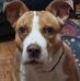 Wendy Marks - Facebook