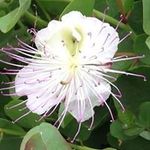 Wendy Masters - @wendyjmasters - Instagram