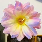 Wendy Masters - @w.r.masters - Instagram