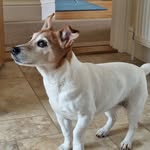 Wendy Masters - @g.masters321 - Instagram