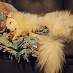 Wendy Masters - @wendy_kay1010 - Instagram