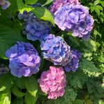 Wendy Masters - @wendyplanetearth - Instagram