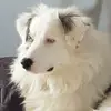 wendymasters - @wendymasters - TikTok