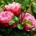 Wendy Mateo - Facebook