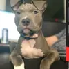 wendymateo185 - @wendymateo185 - TikTok