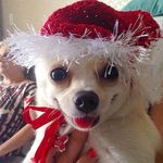 Wendy Matos Chuaua - @wendymatoschuaua - Instagram