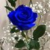Wendy Mayte - Facebook