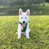 Wendy & Max - @thatpupmax - TikTok