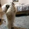 wendy@ max - @user6533419623987 - TikTok