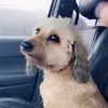 wendymayers4 - @wendymayers4 - TikTok