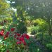 Wendy McLean - Facebook